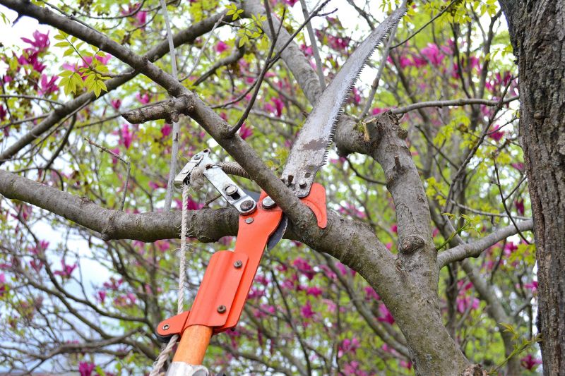 Inside Tree Trimming Equipment