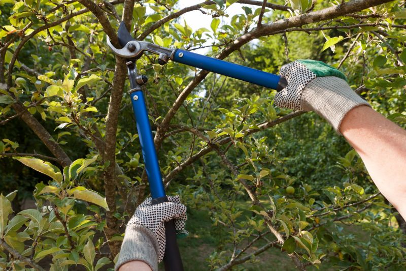 Tree Maintenance Tools